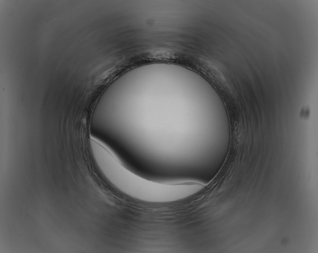 X0000090740364200708031551