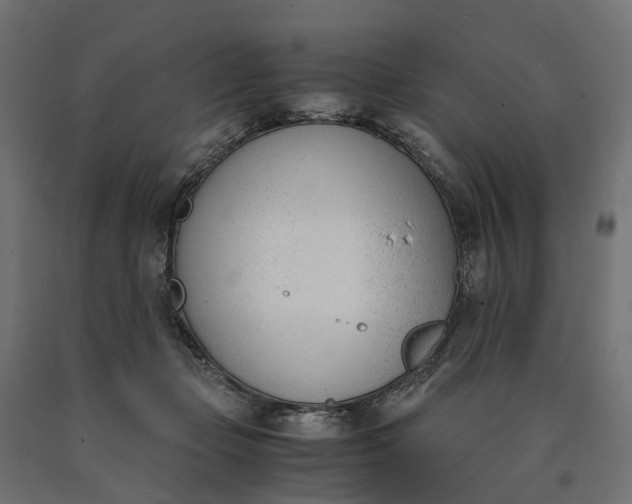 X0000090740365200708031551