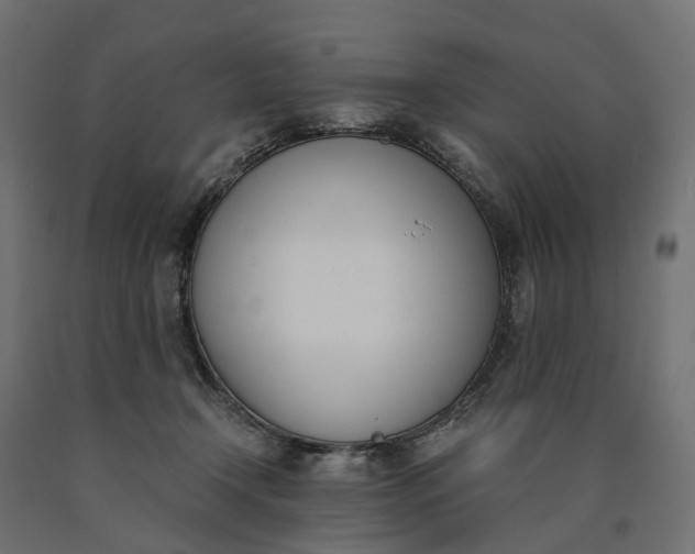 X0000090740366200708031551