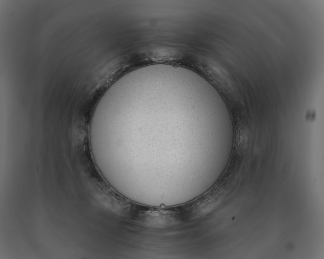 X0000090740367200708031551