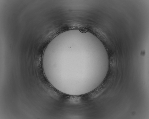 X0000090740369200708031551