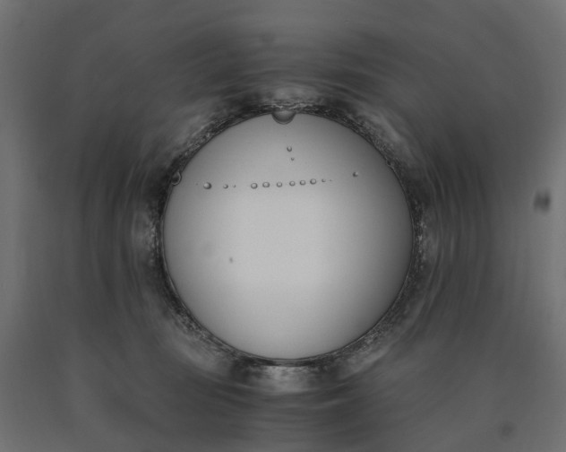 X0000090740371200708031551