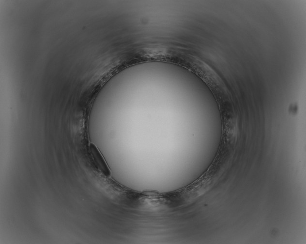 X0000090740372200708031551