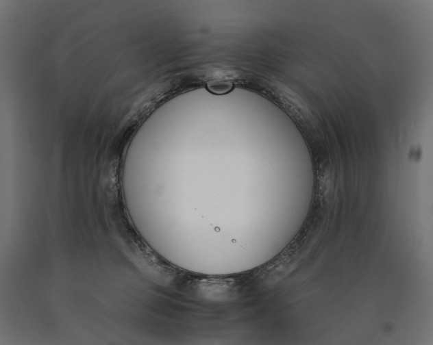 X0000090740373200708031551