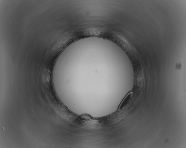 X0000090740374200708031551