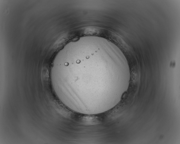 X0000090740375200708031551