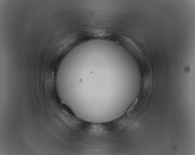 X0000090740376200708031551