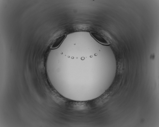 X0000090740377200708031551