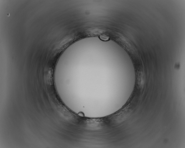 X0000090740378200708031551