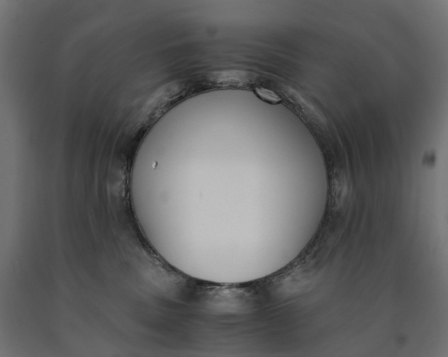 X0000090740379200708031551