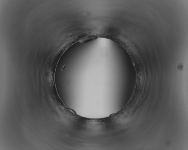 X0000090740380200708031551