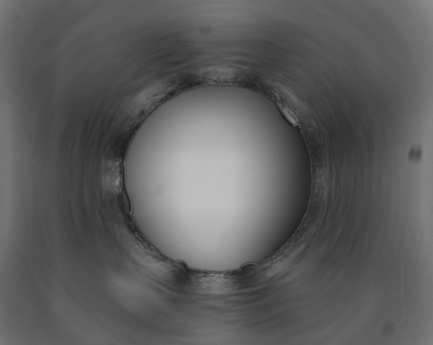 X0000090740383200708031551