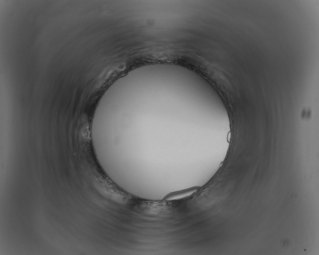 X0000090740384200708031551