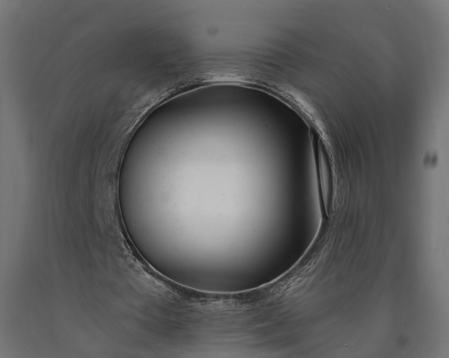 X0000090740385200708031550