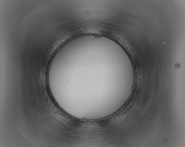 X0000090740386200708031550