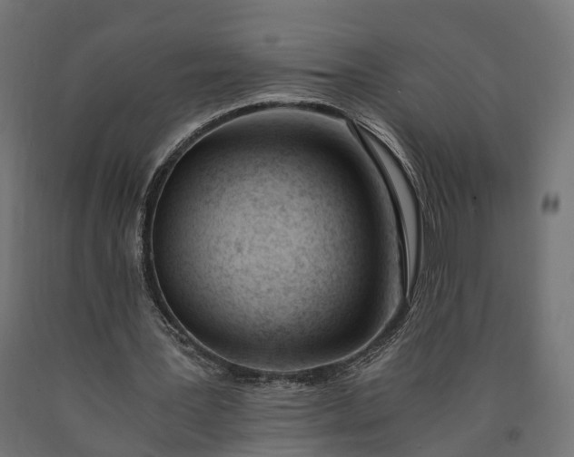 X0000090740387200708031550