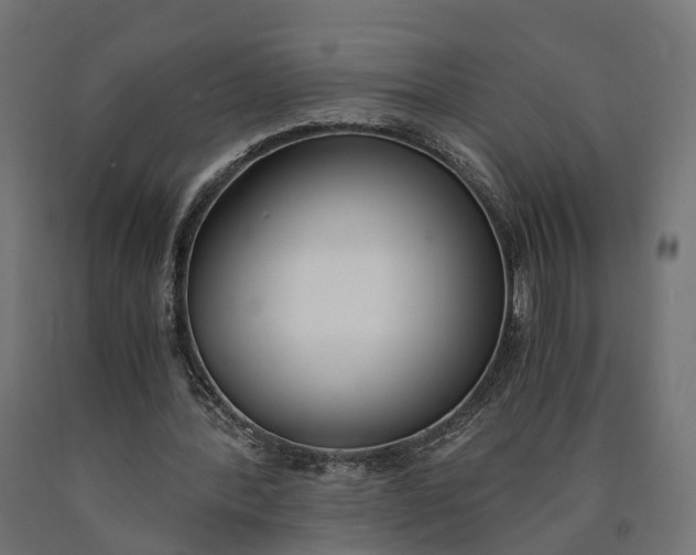 X0000090740388200708031550