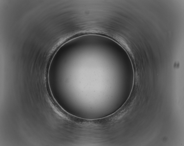 X0000090740389200708031550