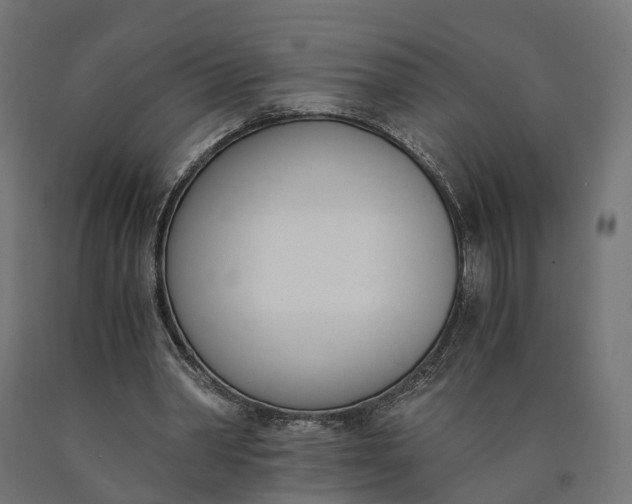 X0000090740390200708031550