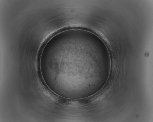 X0000090740391200708031550