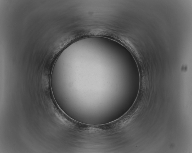 X0000090740393200708031550