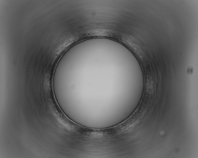 X0000090740394200708031550