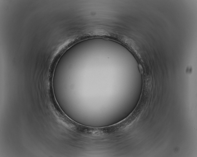 X0000090740395200708031550