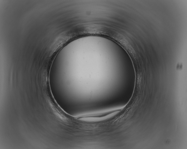 X0000090740397200708031550