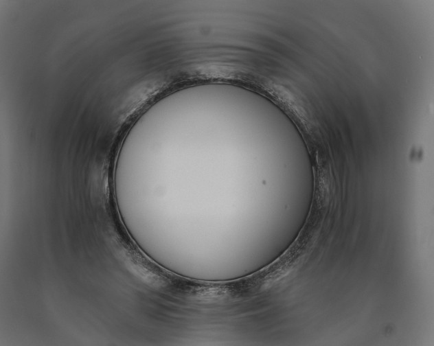 X0000090740398200708031550