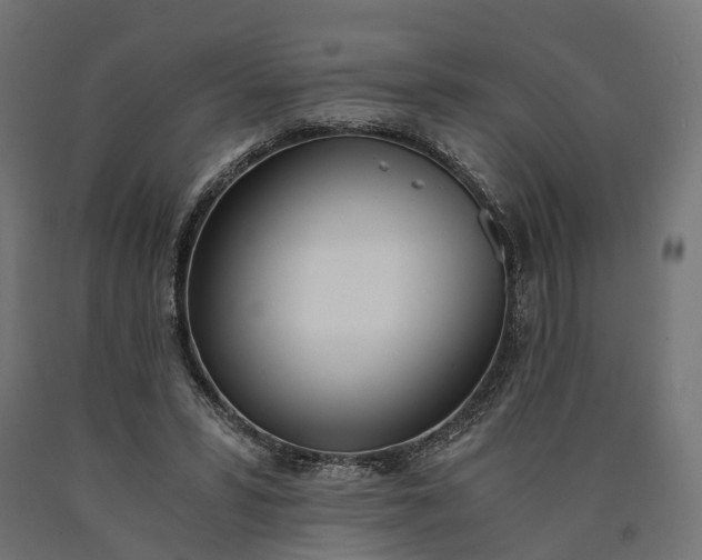 X0000090740399200708031550