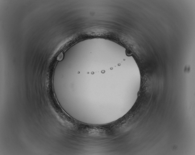 X0000090740400200708031550