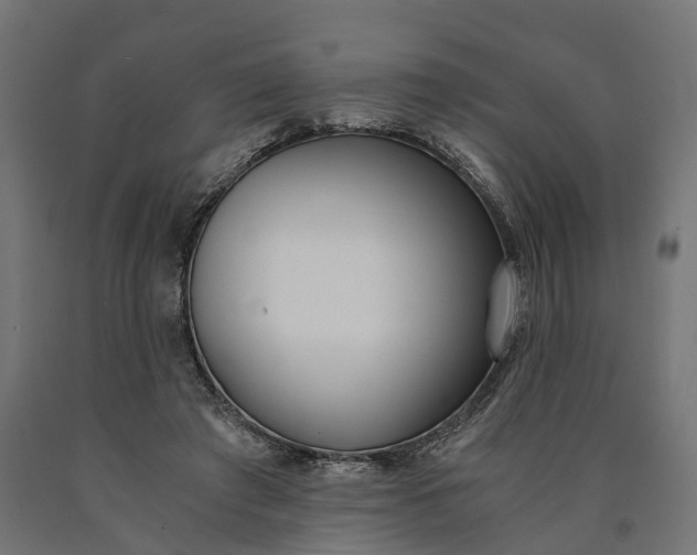 X0000090740401200708031550