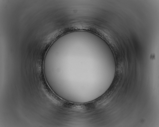 X0000090740402200708031550