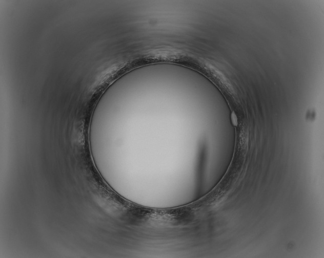 X0000090740403200708031550