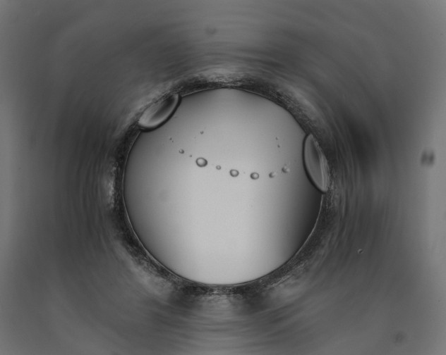 X0000090740404200708031550