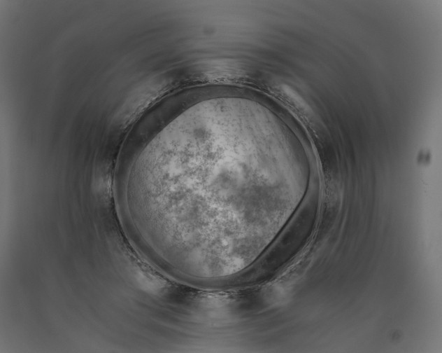 X0000090740405200708031550