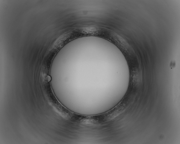 X0000090740408200708031550