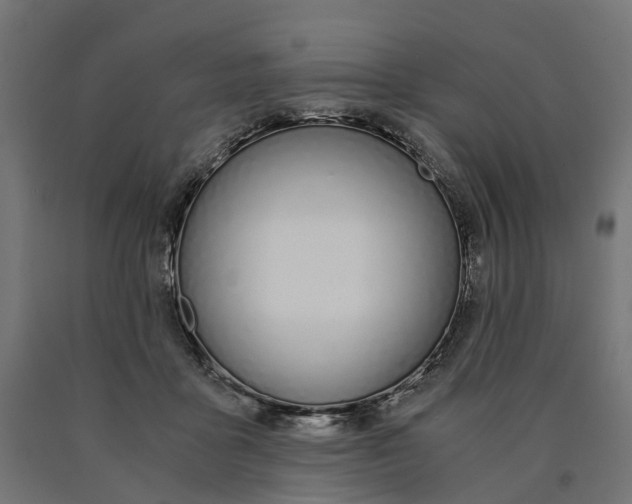 X0000090740411200708031550