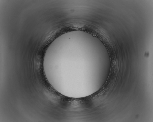 X0000090740412200708031550