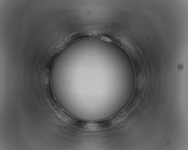 X0000090740413200708031550