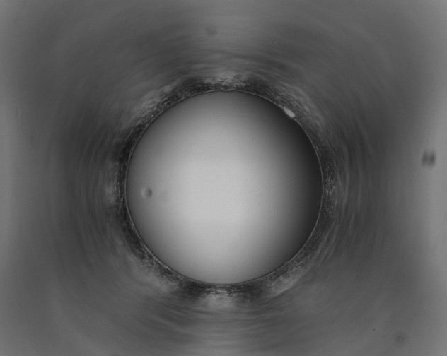 X0000090740416200708031550