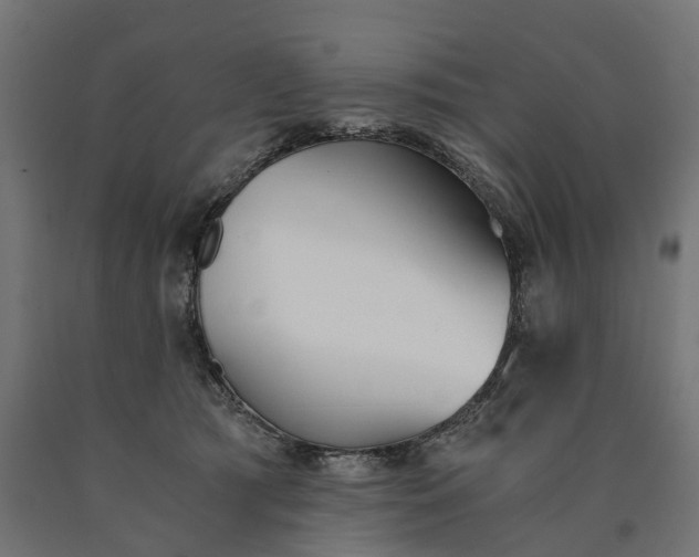 X0000090740417200708031550