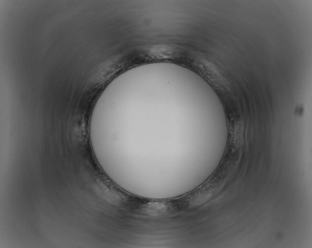 X0000090740418200708031550