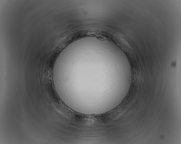 X0000090740419200708031550