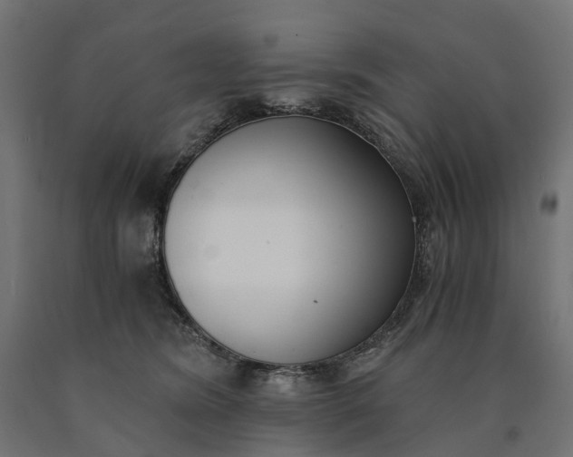 X0000090740420200708031550