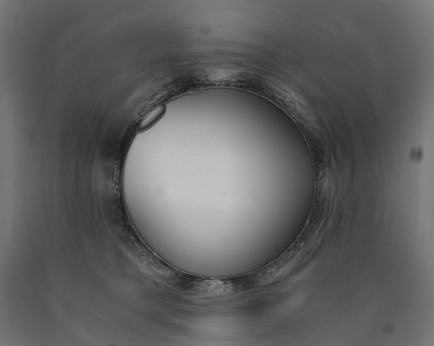 X0000090740421200708031550