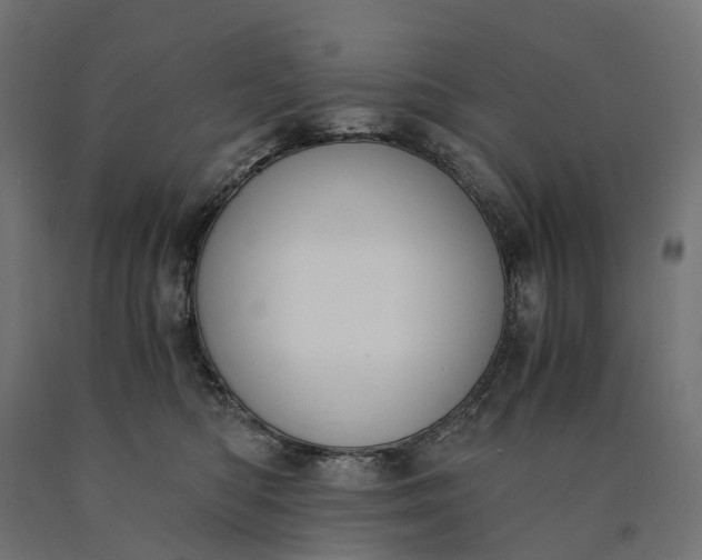 X0000090740422200708031550