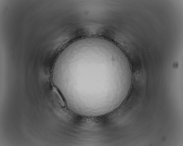 X0000090740423200708031550