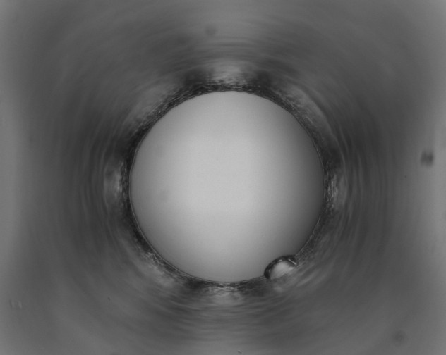 X0000090740424200708031550