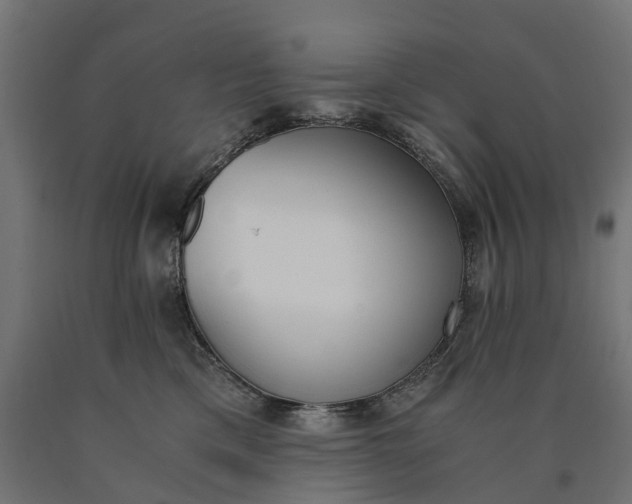 X0000090740425200708031550